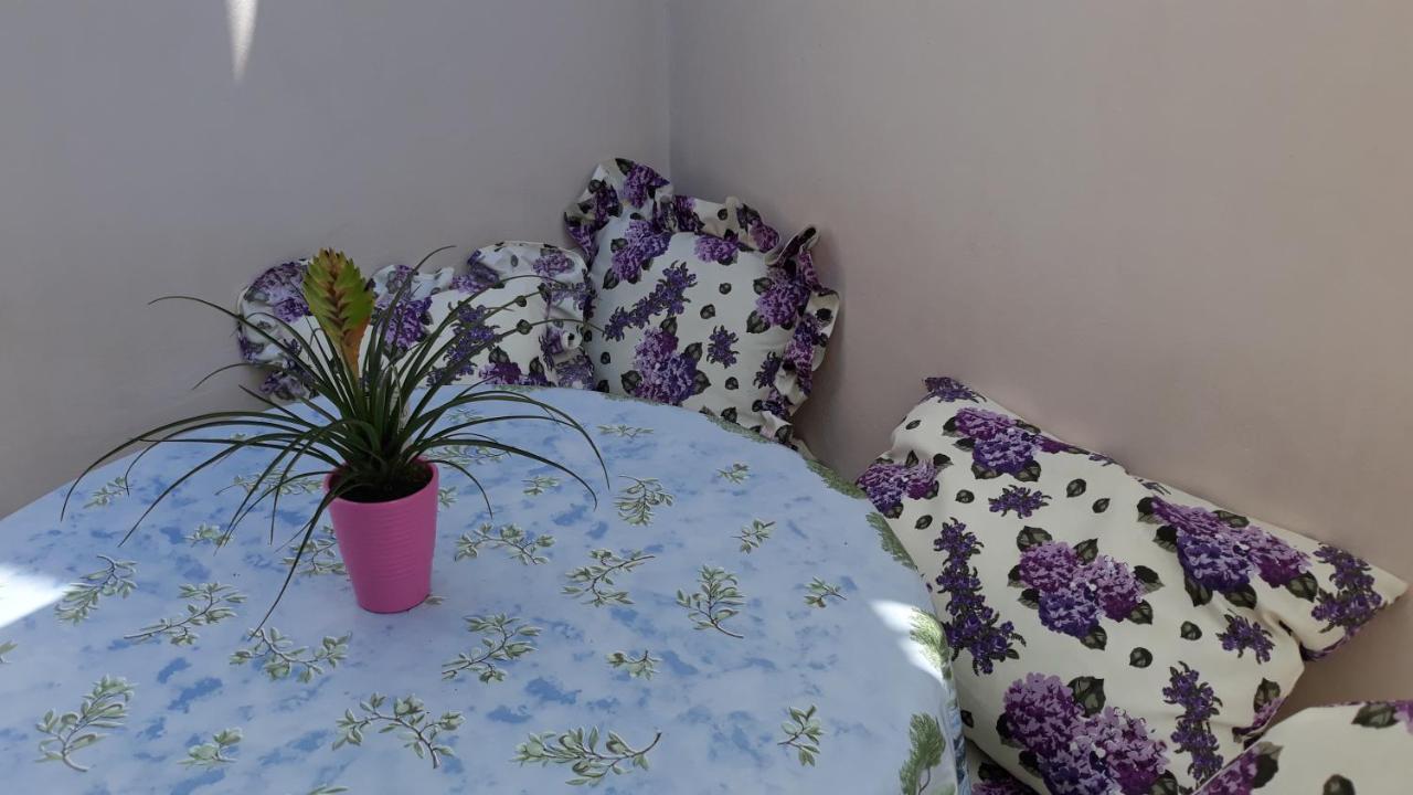 Mini Apartment Petra - Rooms Purple & Green With Kitchen And Garden دوبروفينك المظهر الخارجي الصورة